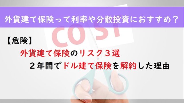 【危険】外貨建て保険のリスク３選　２年間でドル建て保険を解約した理由